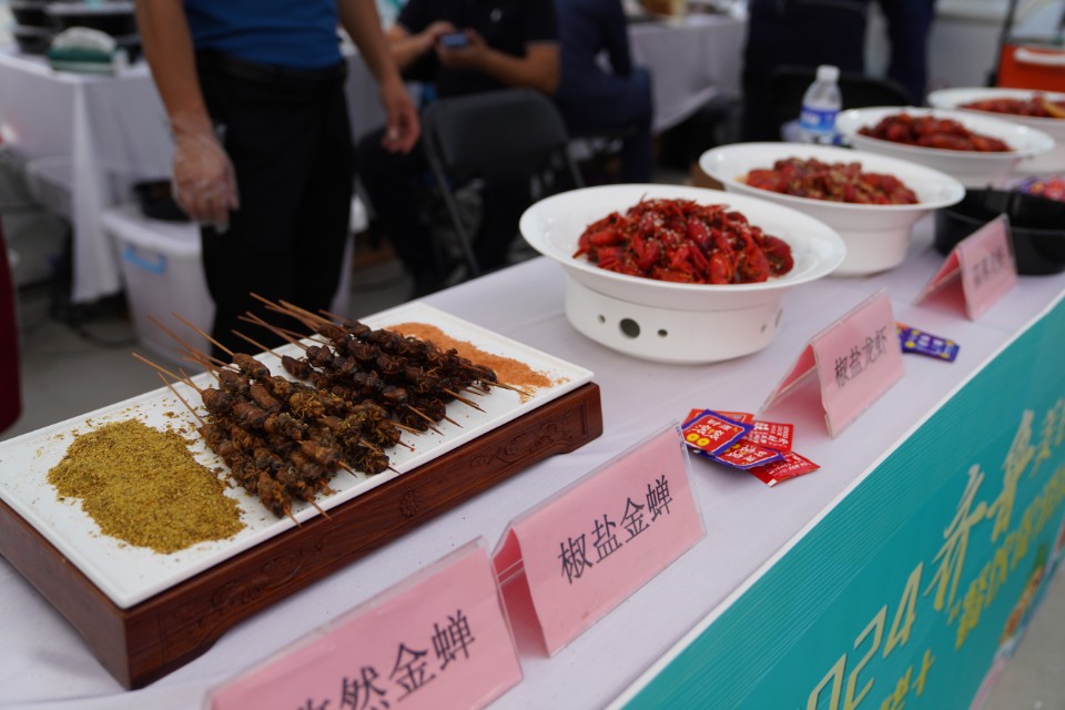 味蕾诱惑！各地美味纷纷亮相2024齐鲁美食节