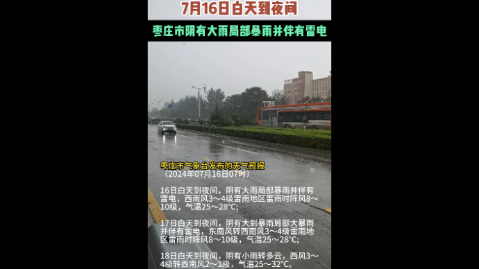 7月16日白天到夜间 枣庄市阴有大雨局部暴雨并伴有雷电