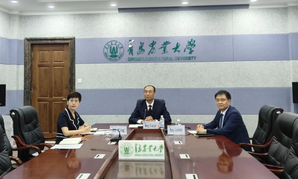“中国－乌兹别克斯坦农业可持续发展先进工程创新中心”启动共建
