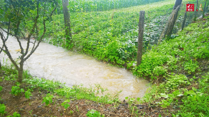 果然视频|枣庄暴雨来袭，农田内涝干群齐力及时排涝