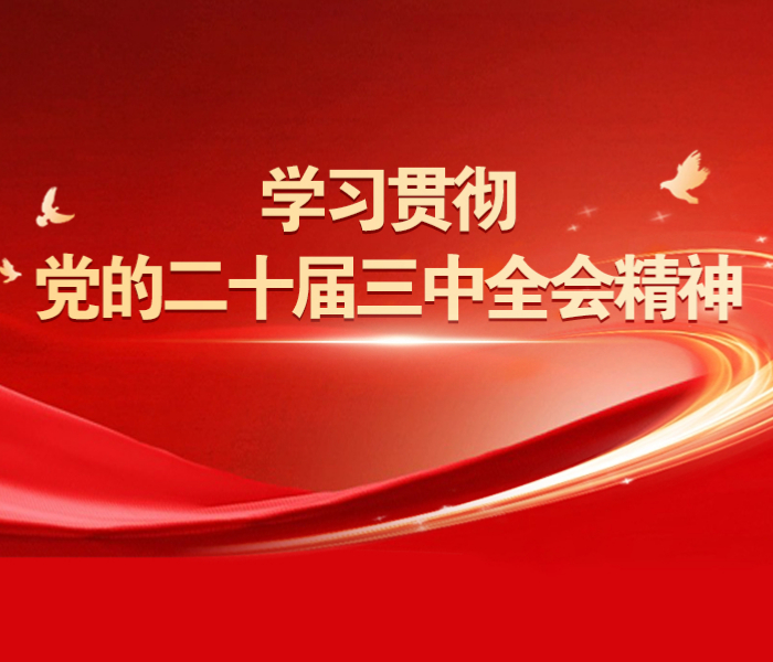 中国共产党第二十届中央委员会第三次全体会议，于2024年7月15日至18日在北京举行。