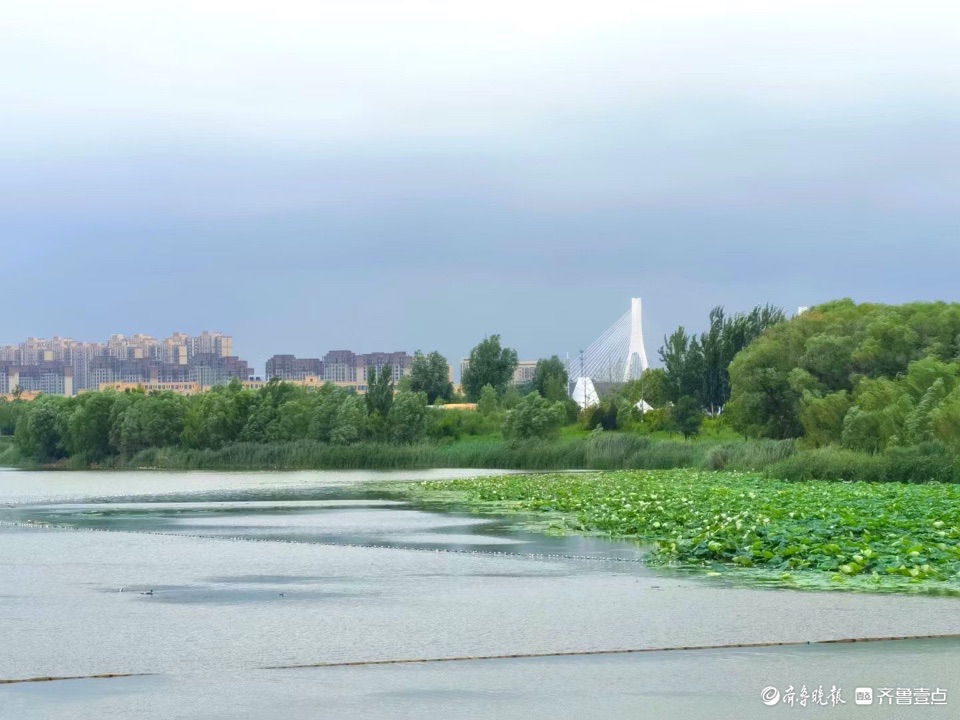 行摄华山——阴雨风情