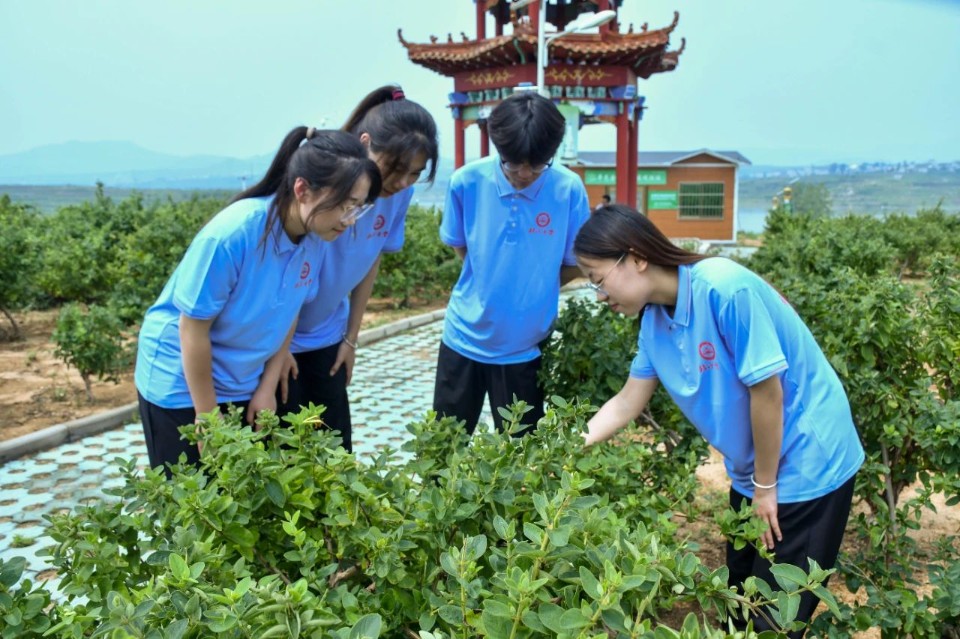 万余名学子赴全国各地！这个暑假，临沂大学学子这样过