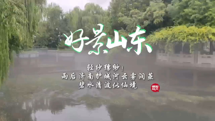 果然视频·好景山东|雨后济南护城河云雾润蒸，轻纱缥缈波似仙境