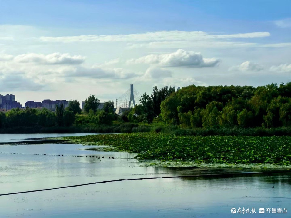 行摄华山——雨霁初晴