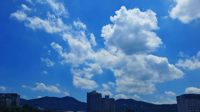 果然视频|济南如此美丽的蓝天白云，满天都是“棉花朵” 