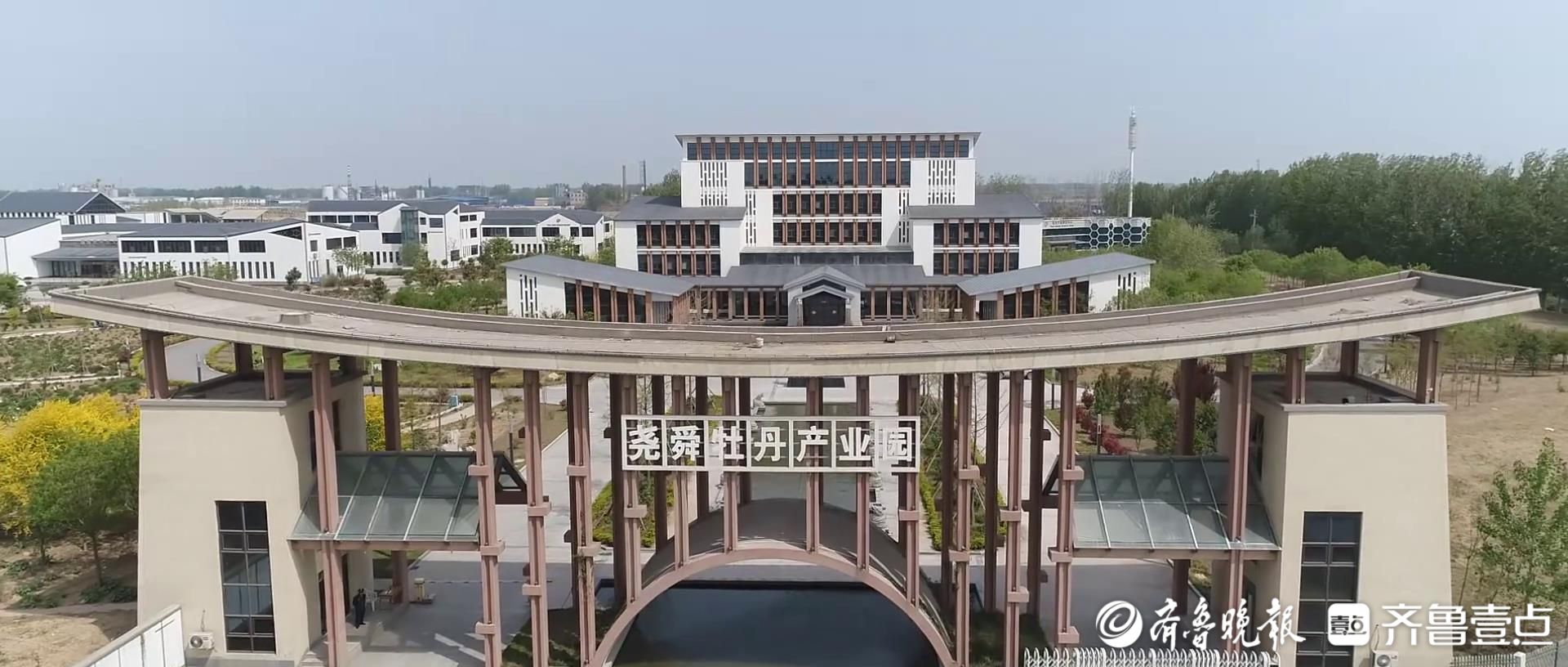 “链”出新动能丨牡丹开出“产业花”，“花样经济”闯出新赛道