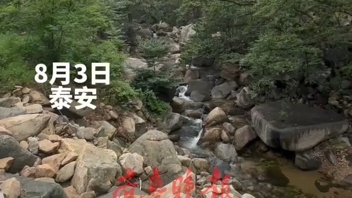 果然视频｜清晨雨后泰山东御道，山水云雾绘成一幅水墨丹青