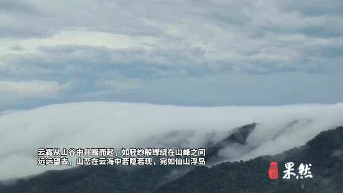 果然视频｜一场雨后，济南跑马岭景区再现云海仙境