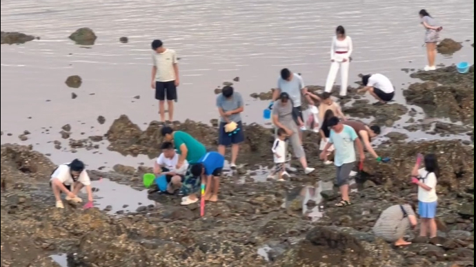 果然视频|大雨送清凉，外地游客烟台海边打卡美景