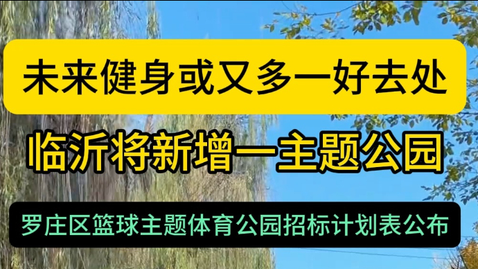 沂视频｜篮球主题体育公园！临沂或将新增一处主题公园