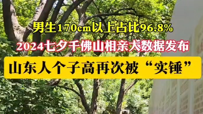 果然视频|千佛山相亲大数据发布！山东人个子高再次被“实锤”