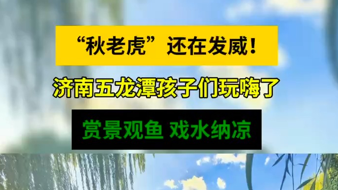 天气情报站|“秋老虎”还在发威！济南五龙潭戏水纳凉，尽享清凉