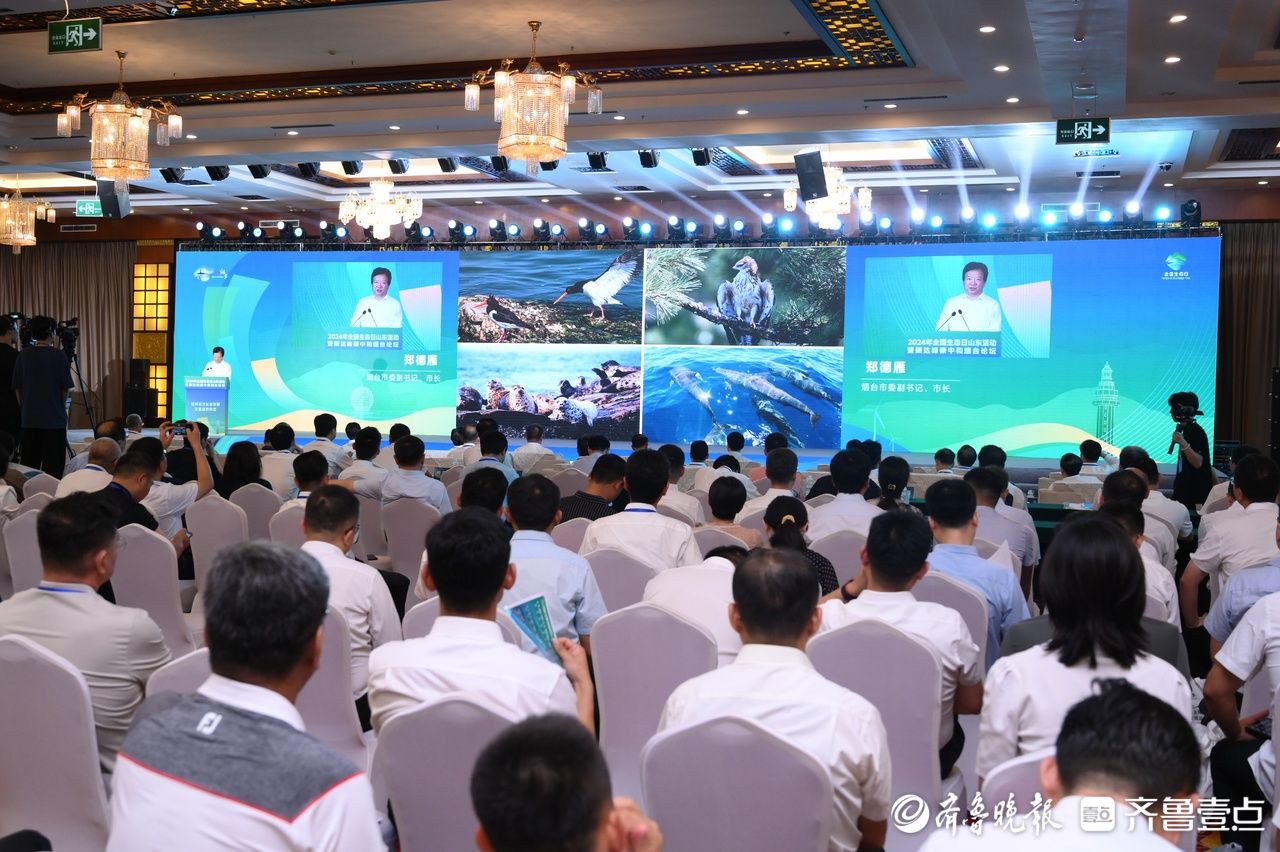 开展多维国际交流合作！烟台谋划发起成立“国际零碳岛屿联盟”