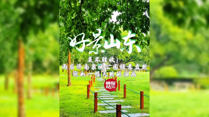 果然视频·好景山东|雨后济南泉城公园绿意盎然，宛如一幅油画！