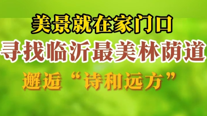 沂视频｜寻找临沂最美林荫道，邂逅“诗和远方”