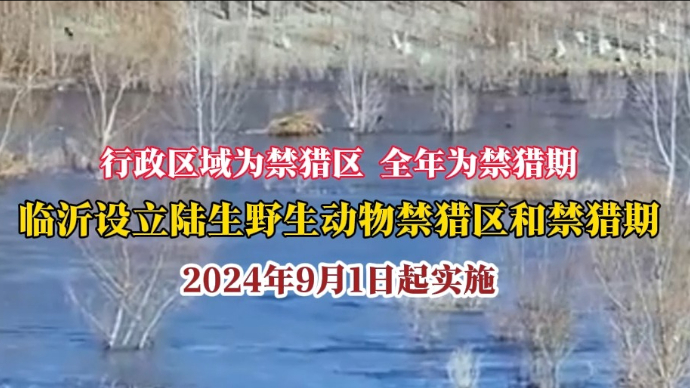 沂视频｜9月1日实施！临沂市全域全年禁猎陆生野生动物