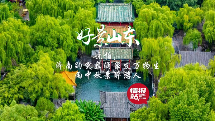 果然视频·好景山东|济南趵突泉涌泉发万物生，雨中秋景醉游人！