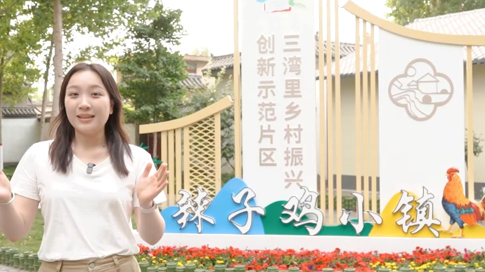 “看见枣庄”系列正能量主题短视频大赛|《三湾里辣子鸡小镇》