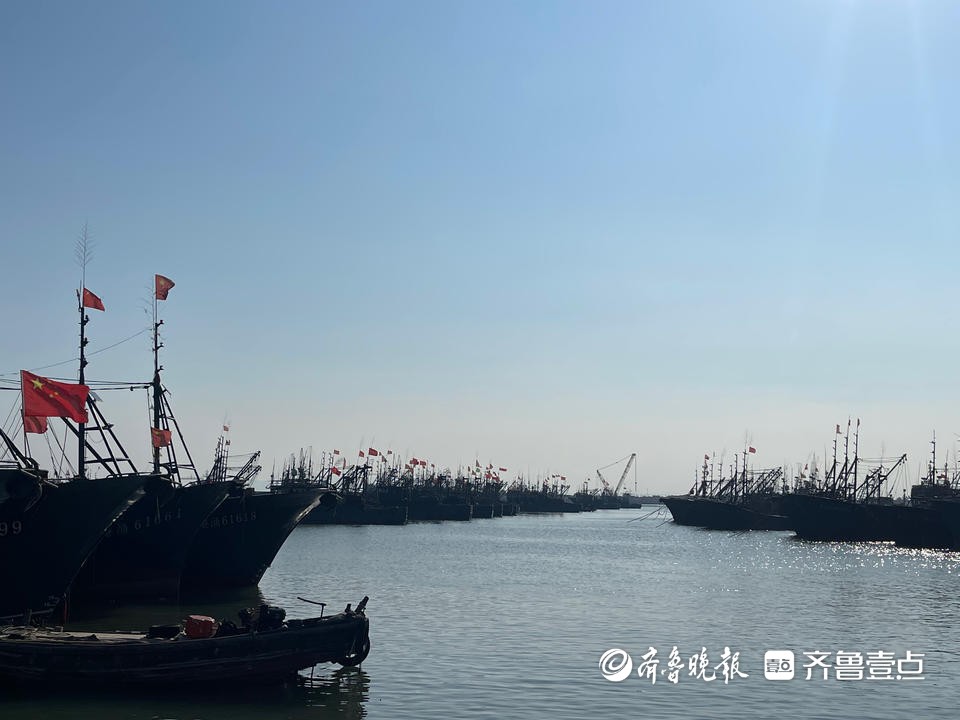 开海倒计时丨日照岸上“新渔民”闯出电商“新蓝海”