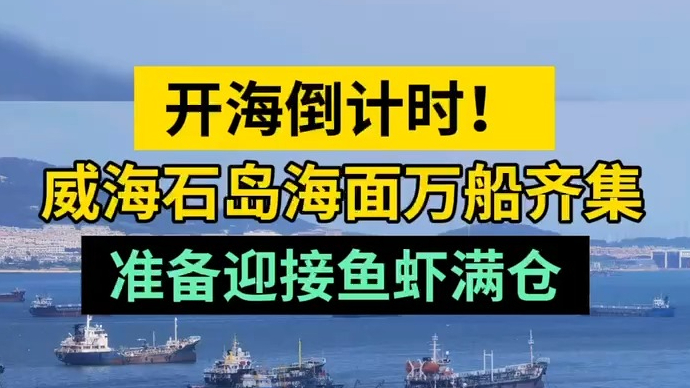 情报站|开海倒计时！威海石岛海面万船齐集，准备迎接鱼虾满仓！