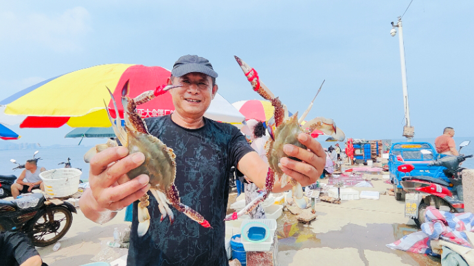 果然视频|开海啦！今秋第一网已上岸 虾虎、螃蟹纷纷登场