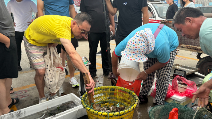 果然视频|开海啦！青岛南姜码头新鲜海货吸引市民来尝“鲜”