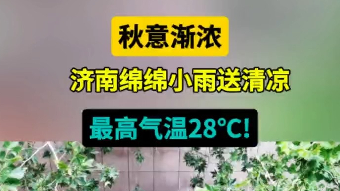 天气情报站|最高气温28℃！济南小雨送清凉，秋意渐浓舒适宜人