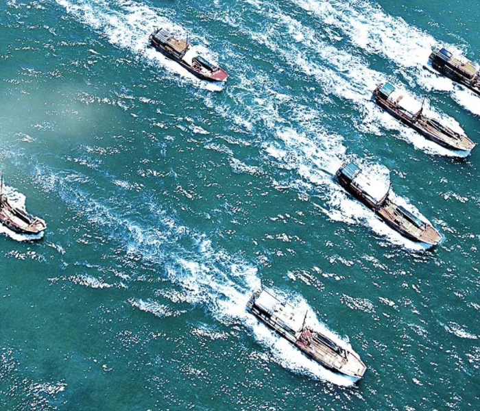 9月1日起，黄渤海海域全面“开渔”。出海，千帆竞发，千艘渔船拔锚而起，向大海深处远航；归来，鱼虾满仓，丰收的喜悦洋溢在渔民们的脸上。