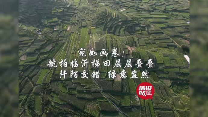 果然视频·好景山东|航拍临沂梯田层层叠叠，阡陌交错绿意盎然！