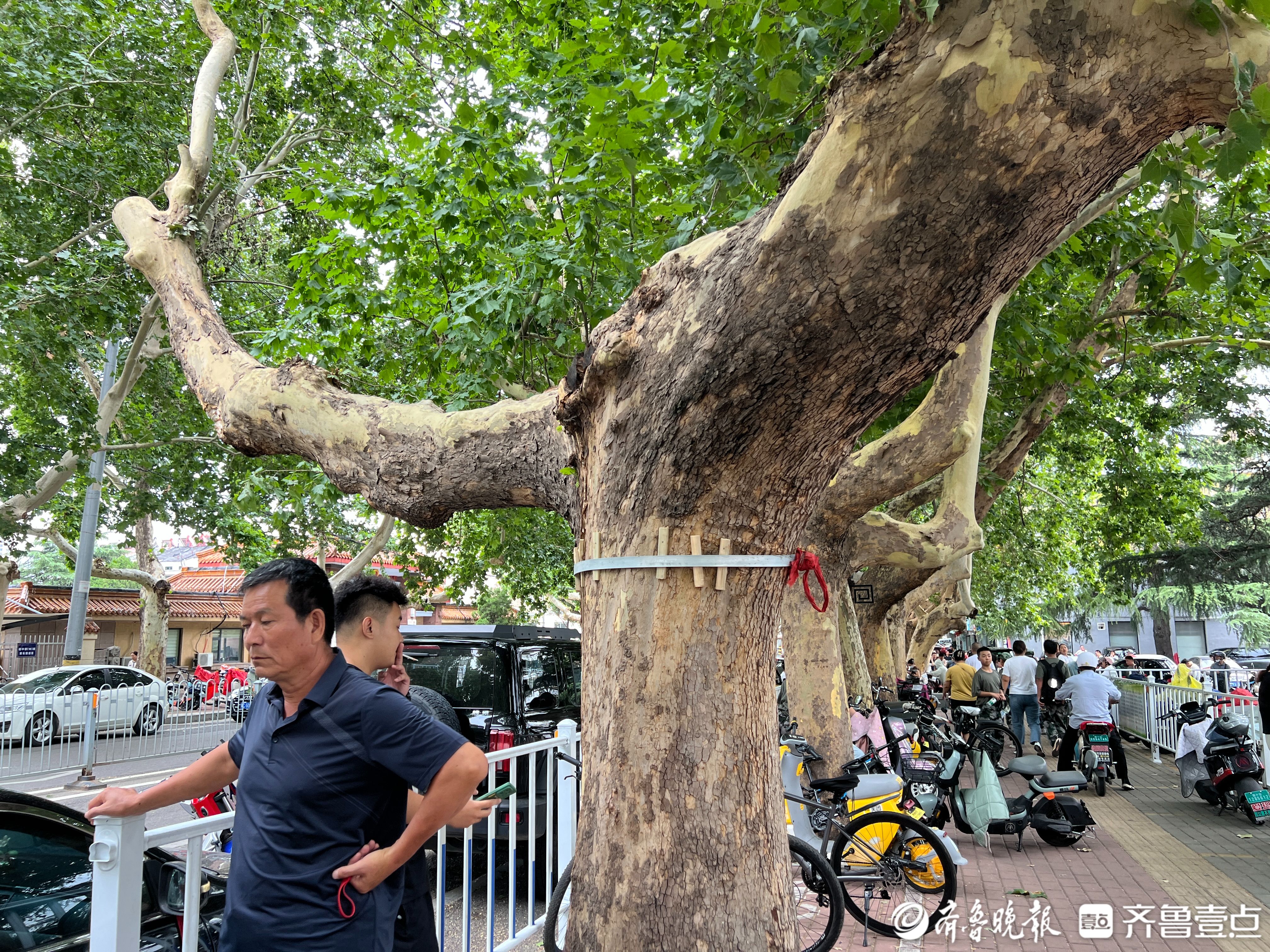 【专题】齐鲁壹点·泰安帮办：汇集民意民智，助力城市治理