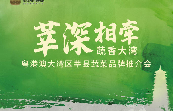莘深相牵,蔬香大湾。2019年12月13日,粤港澳大湾区“菜篮子”产品聊城配送分中心在莘县揭牌,掀开了莘县与粤港澳产业发展深度对接合作的大幕。五年来,莘县“菜园子”为大湾区“菜篮子”提供了新鲜与健康的优质农产品。9月6日,粤港澳大湾区莘县蔬菜推介新闻发布会将在深圳举办,共赴一场共享机遇、互利共赢的美好相约,双方的合作也将开启全新的新篇章。