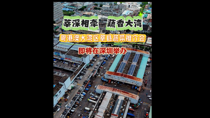 莘深相牵，蔬香大湾|粤港澳大湾区莘县蔬菜推介会将在深圳举办