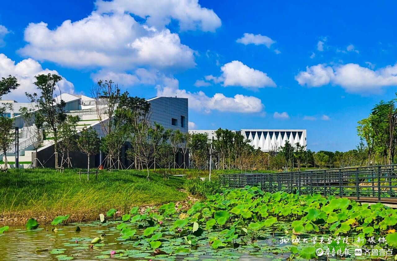 聊城创建聊城理工学院图片