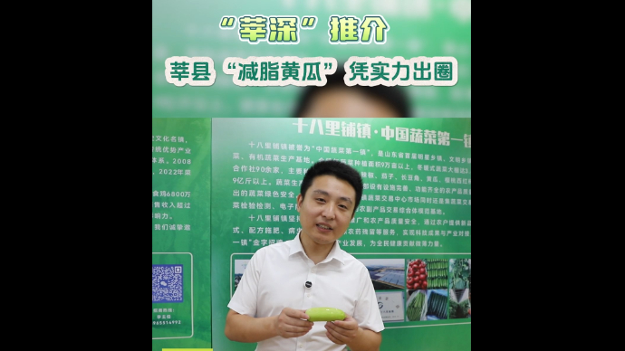 “莘深”推介|莘县 “减脂黄瓜”凭实力出圈