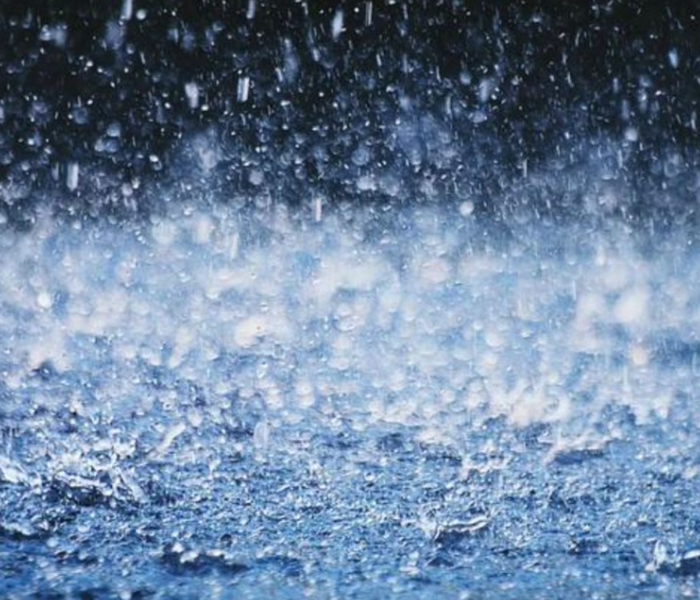 今年第13号台风“贝碧嘉”（强台风级）的中心已于16日7点30分前后在上海浦东临港新城登陆，登陆时中心附近最大风力14级（42米/秒），中心最低气压为955百帕。“贝碧嘉”也超越4906台风“Gloria”，成为1949年以来登陆上海的最强台风！