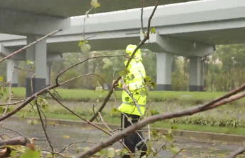 上海两大机场恢复通行，轮渡复航，地铁部分线路恢复运营