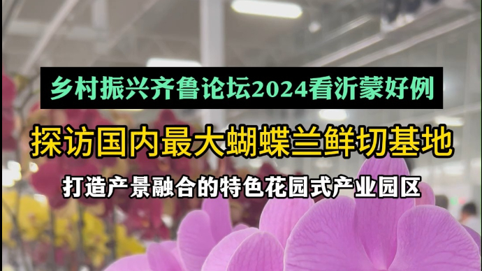 沂视频｜在国内最大蝴蝶兰鲜切基地，看特色花园式产业园区建设