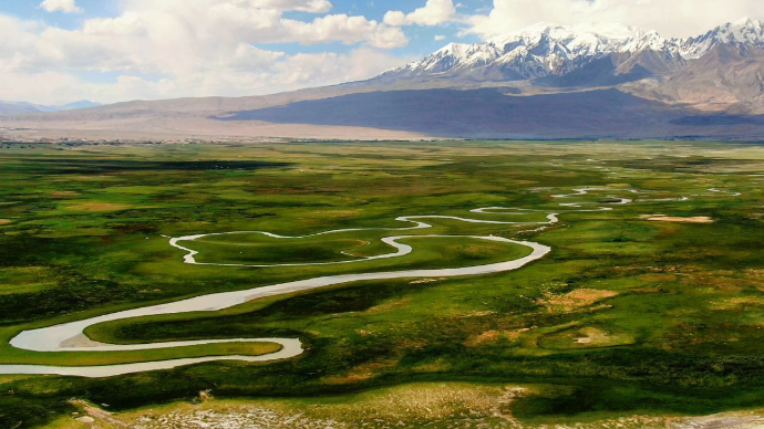 恢宏秘境！360度，带你欣赏“神花繁衍”的塔合曼湿地