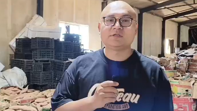 果然视频｜外地客商首次带货“烟薯25”，直接签约三千万斤