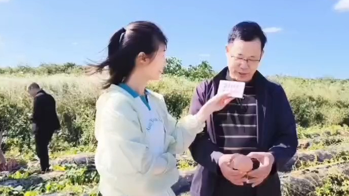 果然视频｜揭秘“烟薯25”选育：优质为先，从上千品种脱颖而出