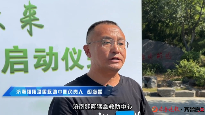 2024泉城环保世纪行丨近十年来救助伤病野生动物2100余只