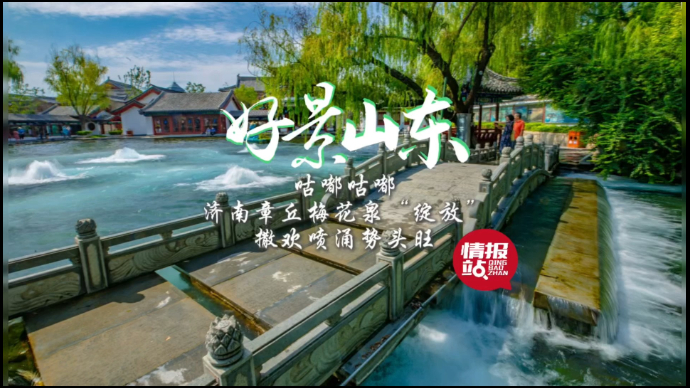 果然视频·好景山东|济南章丘梅花泉“绽放”，撒欢喷涌势头旺！