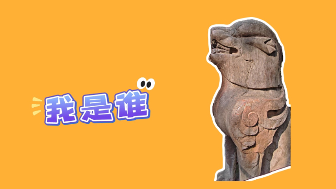 果然视频｜在孔子墓神道坐卧,你是何方神兽?