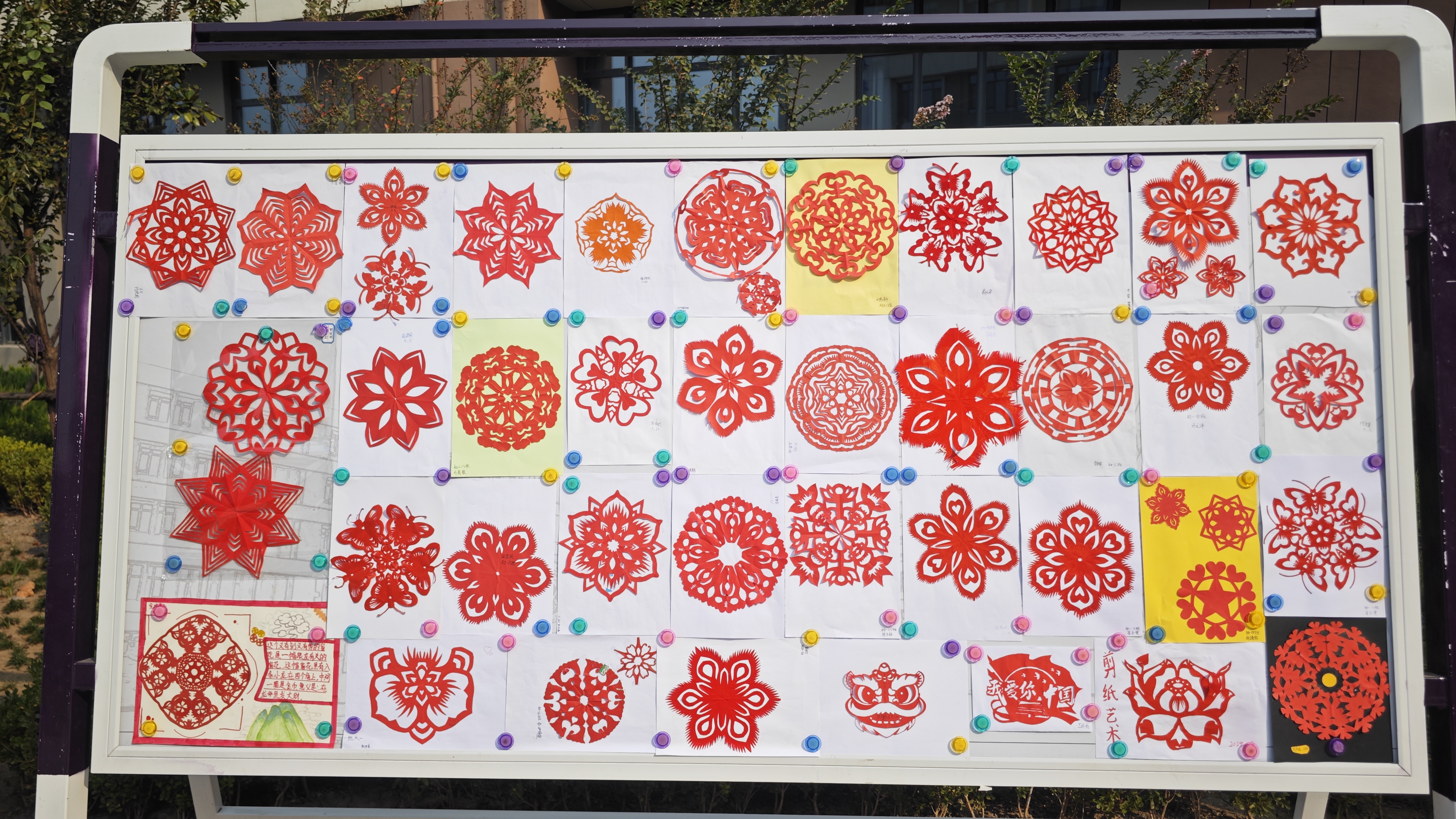 非遗剪纸迎国庆,张店区科技苑中学举行非遗剪纸艺术展