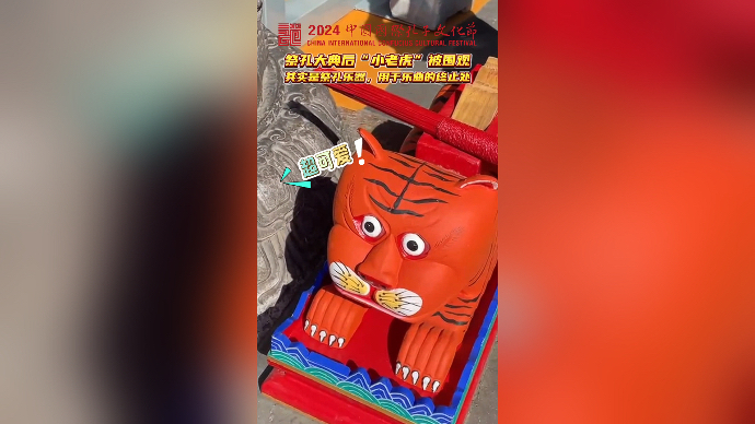 果然视频｜祭孔大典现场“小老虎”被围观，你知道它是什么吗？