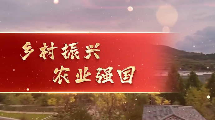 向祖国报告·我与祖国共成长|乡村振兴 农业强国