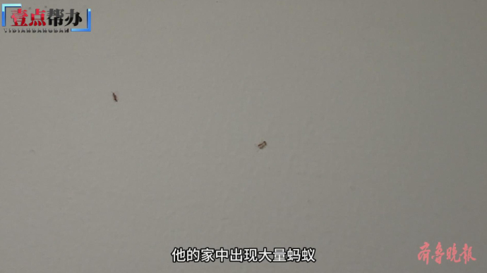 壹点帮办|泰安一小区居民楼蚂蚁泛滥，有孩子睡梦中被咬醒