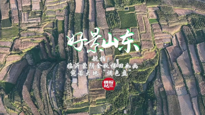 果然视频·好景山东|航拍！临沂蒙阴梯田宛若大地调色盘