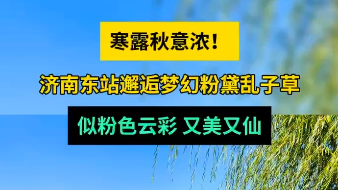 天气情报站|寒露至秋意浓！济南东站邂逅粉黛乱子草，浪漫又迷人